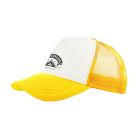 geel (± PMS Yellow)
